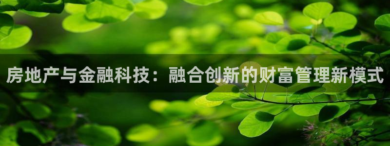 新宝5手机版：房地产与金融科技：融合创新的财富管理新模式
