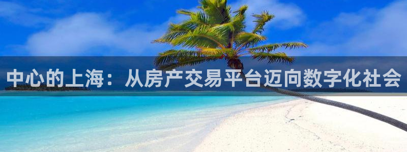 新宝5线路：中心的上海：从房产交易平台迈向数字化社会