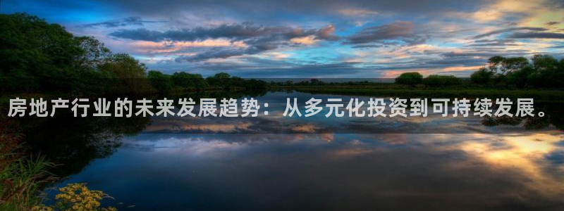 新宝5为啥开：房地产行业的未来发展趋势：从多元化投资到可持续