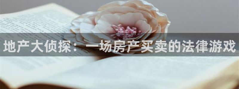 新宝5培训：地产大侦探：一场房产买卖的法律游戏