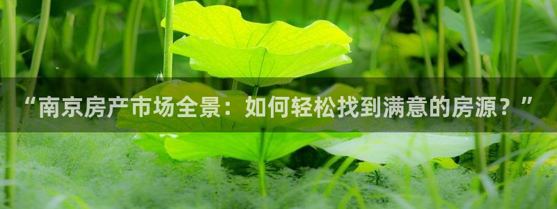 新宝5app：“南京房产市场全景：如何轻松找到满意的房源？”