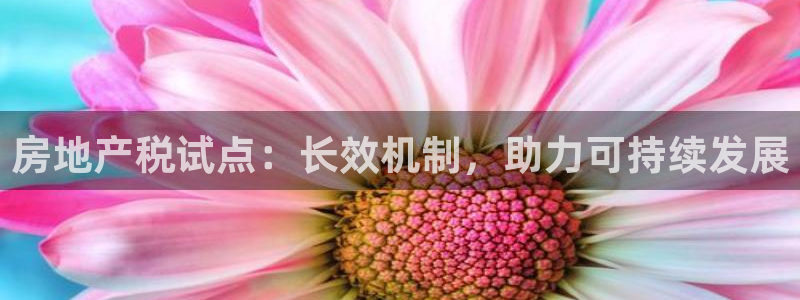 新宝5下载测试：房地产税试点：长效机制，助力可持续发展
