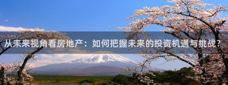 新宝5彩票是正规平台吗