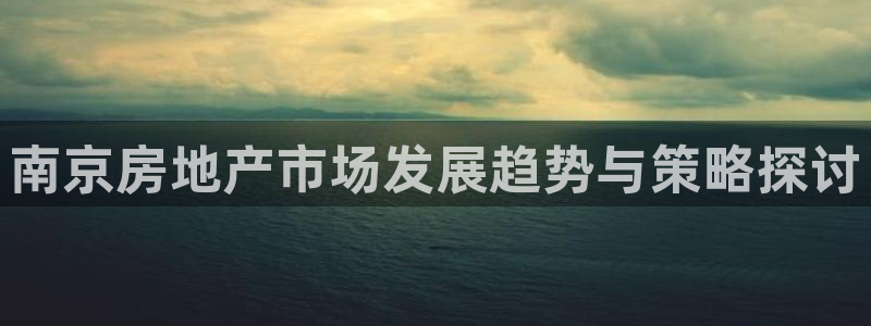 新宝集团新宝5：南京房地产市场发展趋势与策略探讨