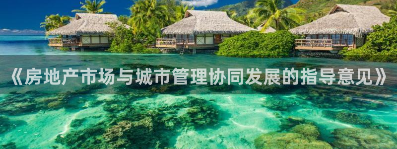 新宝5线路登录：《房地产市场与城市管理协同发展的指导意见》