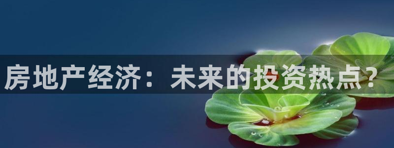 新宝5的网址：房地产经济：未来的投资热点？