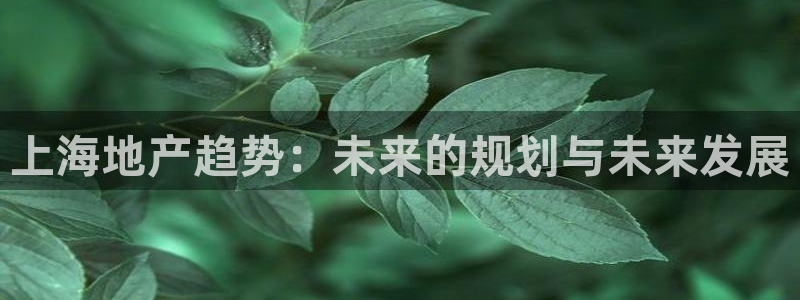 新宝5测速在线：上海地产趋势：未来的规划与未来发展