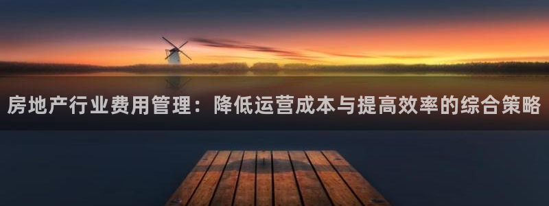 新宝5电脑：房地产行业费用管理：降低运营成本与提高效率的综合