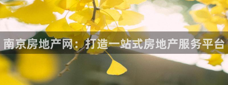 新宝5注册账号：南京房地产网：打造一站式房地产服务平台