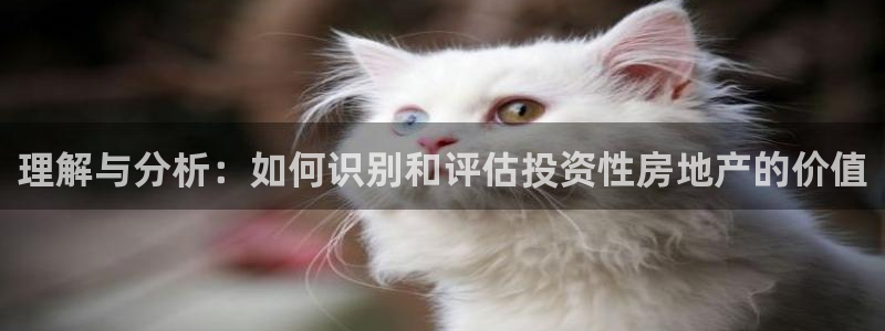 股票5G宝新：理解与分析：如何识别和评估投资性房地产的价值