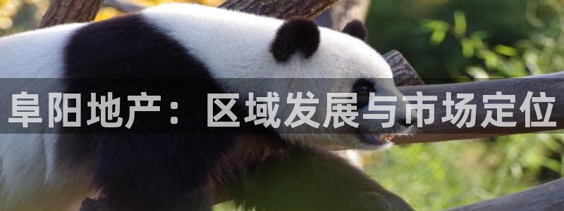 新宝5如何下载：阜阳地产：区域发展与市场定位