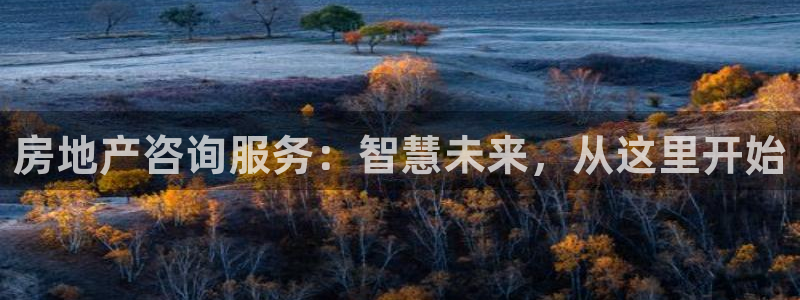 新宝5下载注册：房地产咨询服务：智慧未来，从这里开始
