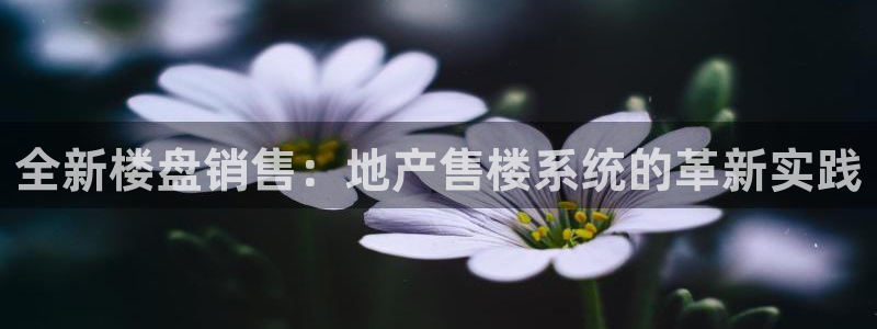 新宝5平台登陆：全新楼盘销售：地产售楼系统的革新实践