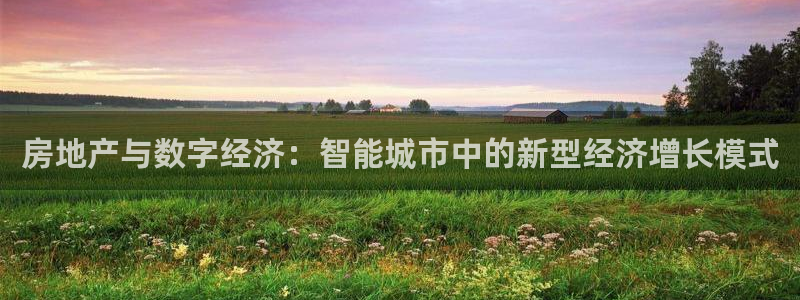 新宝5招商部：房地产与数字经济：智能城市中的新型经济增长模式