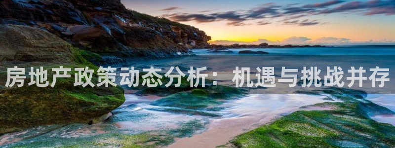新宝5球维33 300：房地产政策动态分析：机遇与挑战并存