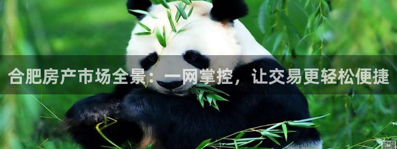 新宝5线路登录：合肥房产市场全景：一网掌控，让交易更轻松便捷