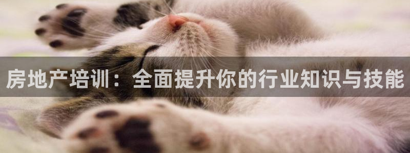 新宝cR一5：房地产培训：全面提升你的行业知识与技能