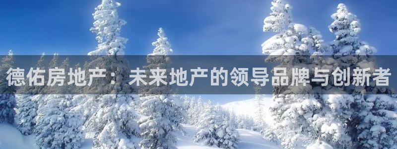 新宝5注册霸：德佑房地产：未来地产的领导品牌与创新者