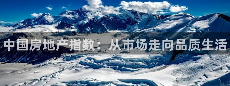 新宝5巅峰：中国房地产指数：从市场走向品质生活