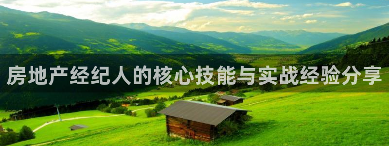 新宝5地址：房地产经纪人的核心技能与实战经验分享