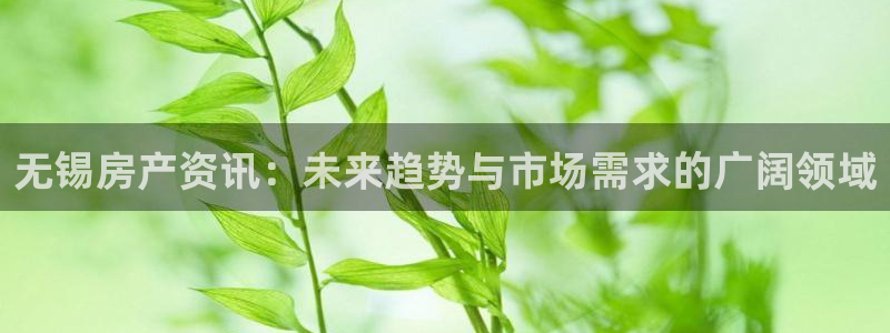 i新宝5：无锡房产资讯：未来趋势与市场需求的广阔领域