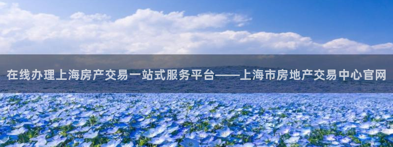 新宝5手机测速：在线办理上海房产交易一站式服务平台——上海市