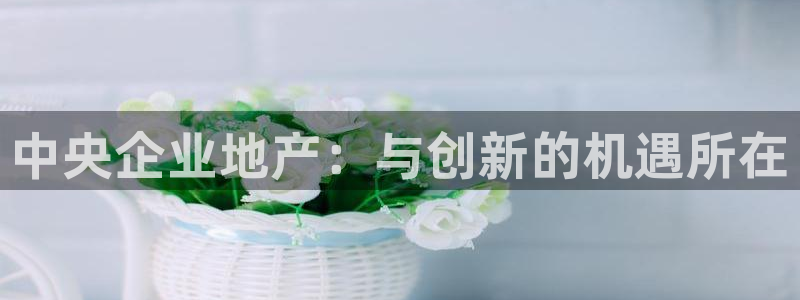 新宝5平台注册资金：中央企业地产：与创新的机遇所在