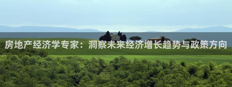 新宝5线路登录检测：房地产经济学专家：洞察未来经济增长趋势与