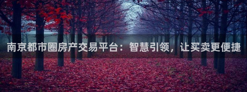 新宝5娱乐代理：南京都市圈房产交易平台：智慧引领，让买卖更便