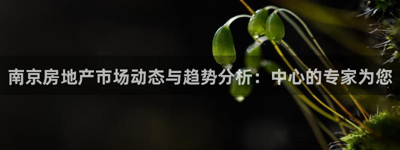 下载新宝5：南京房地产市场动态与趋势分析：中心的专家为您