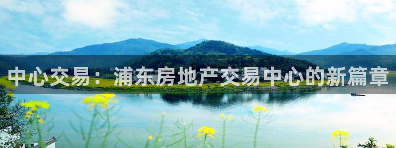 新宝股东张听2 5 5：中心交易：浦东房地产交易中心的新篇章