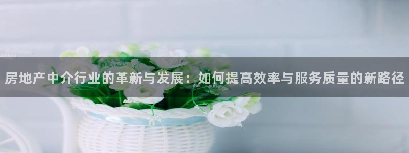 新宝5官方登录入口：房地产中介行业的革新与发展：如何提高效率