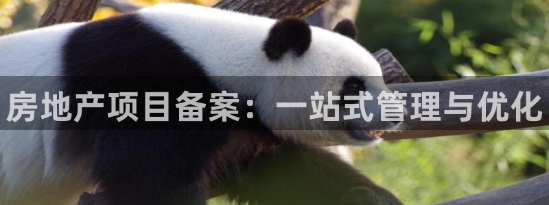 新宝m2O5O5O：房地产项目备案：一站式管理与优化