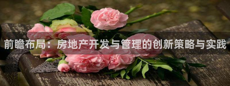 新宝5登录网址：前瞻布局：房地产开发与管理的创新策略与实践