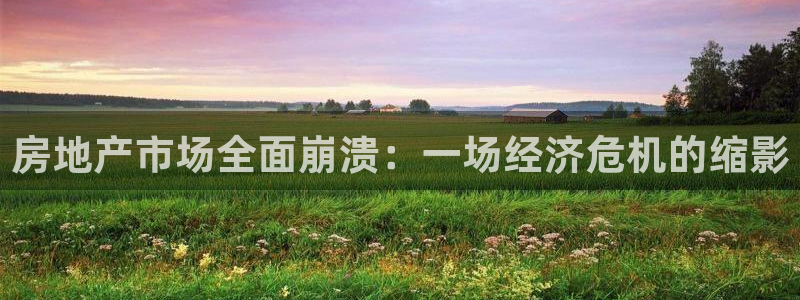 新宝5官网平台：房地产市场全面崩溃：一场经济危机的缩影