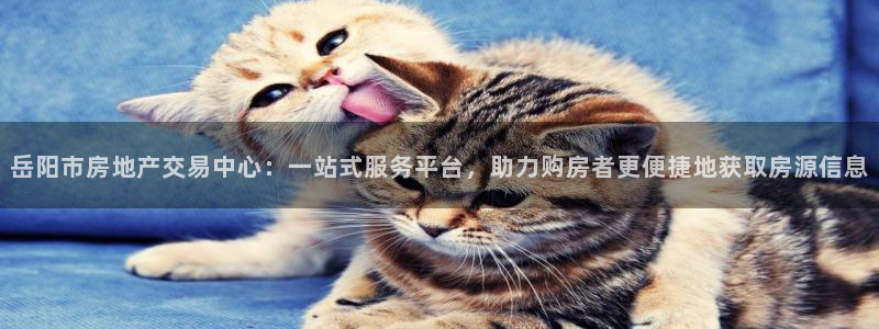 新宝5户端：岳阳市房地产交易中心：一站式服务平台，助力购房者