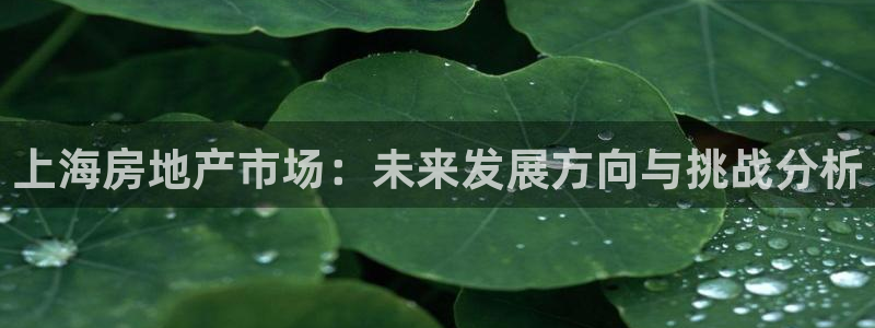 新宝5登录注册：上海房地产市场：未来发展方向与挑战分析