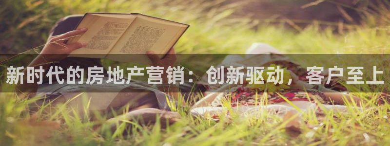 新宝5入口：新时代的房地产营销：创新驱动，客户至上