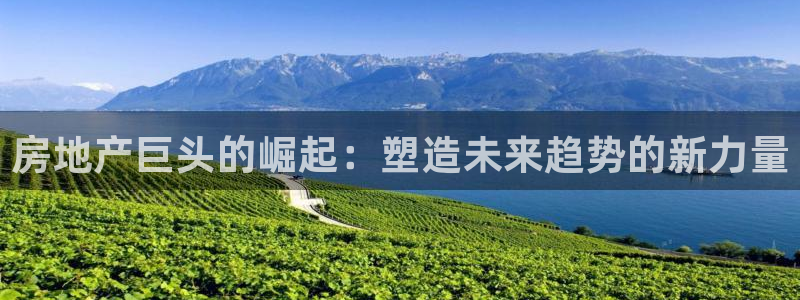 新宝5客户端登录：房地产巨头的崛起：塑造未来趋势的新力量
