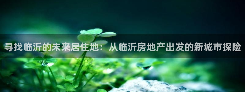 新宝5褚32OO59：寻找临沂的未来居住地：从临沂房地产出发