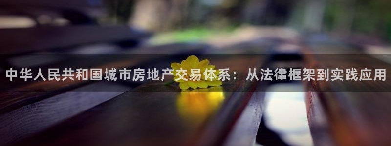 新宝5主管：中华人民共和国城市房地产交易体系：从法律框架到实