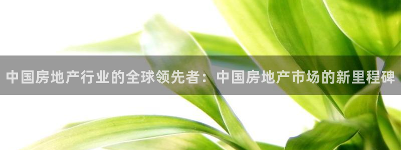 新宝5娱乐同：中国房地产行业的全球领先者：中国房地产市场的新
