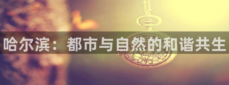 新宝5娱乐主管：哈尔滨：都市与自然的和谐共生