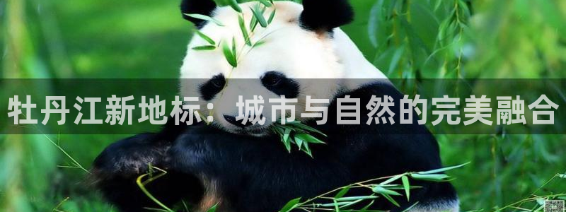 新宝5公司：牡丹江新地标：城市与自然的完美融合