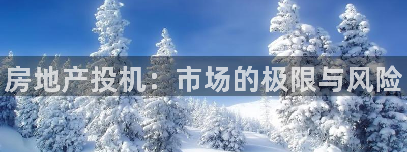 新宝5湫333 00：房地产投机：市场的极限与风险