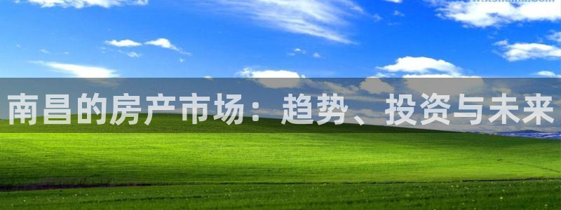 新宝5网址：南昌的房产市场：趋势、投资与未来
