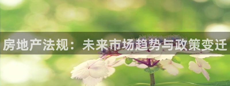 新宝5平台登录：房地产法规：未来市场趋势与政策变迁