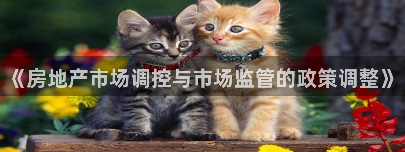 新宝5下载网址：《房地产市场调控与市场监管的政策调整》
