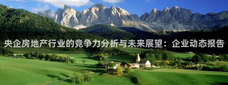 新宝5测试：央企房地产行业的竞争力分析与未来展望：企业动态报