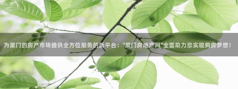 新宝5可靠吗：为厦门的房产市场提供全方位服务的新平台：\
